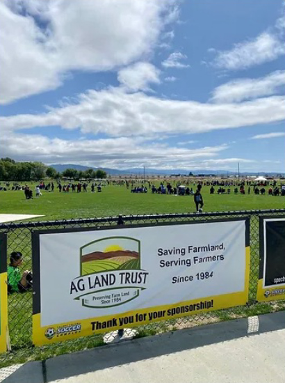 Fence banner advertising