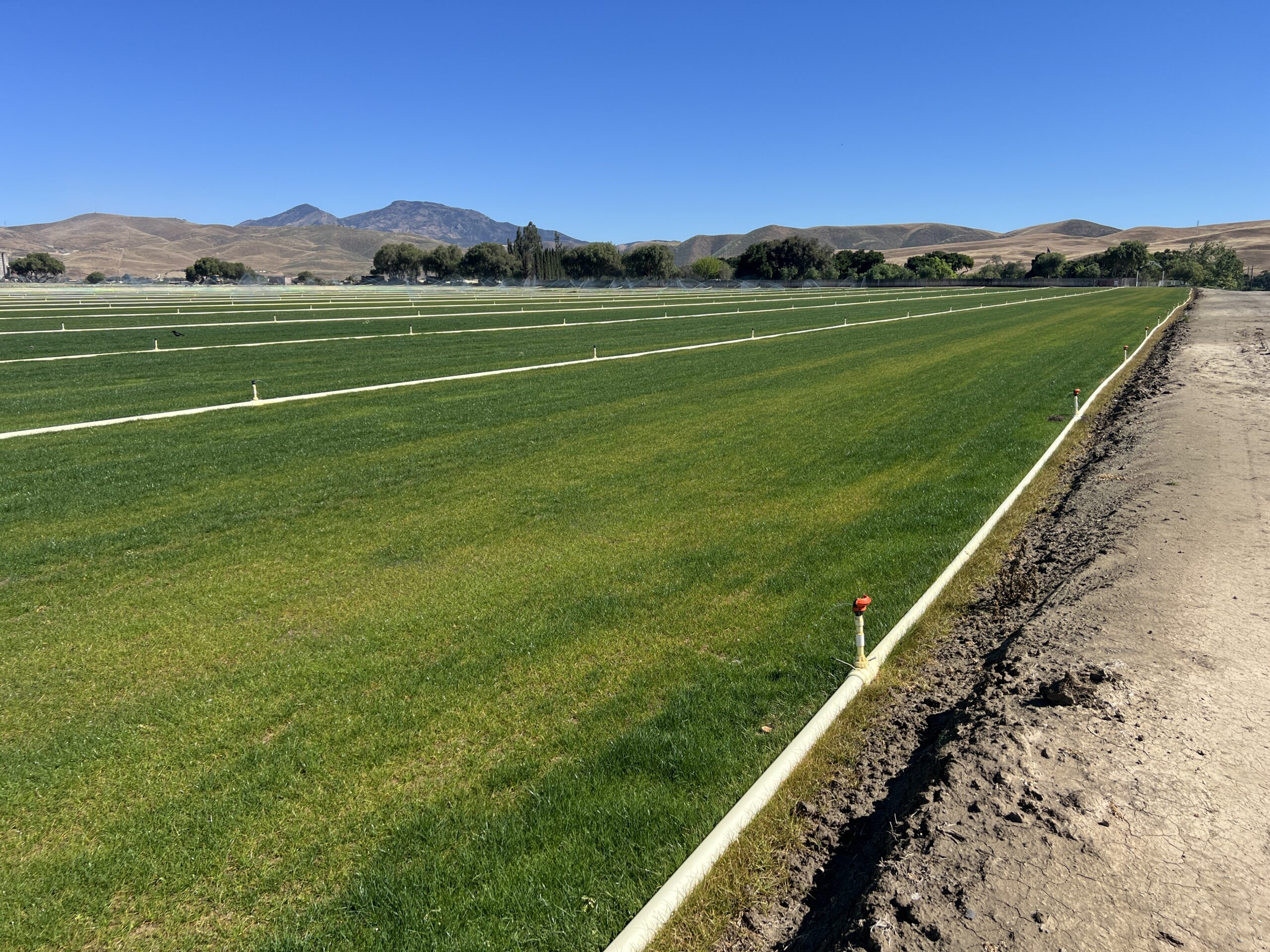 Soccer fields in Salinas.