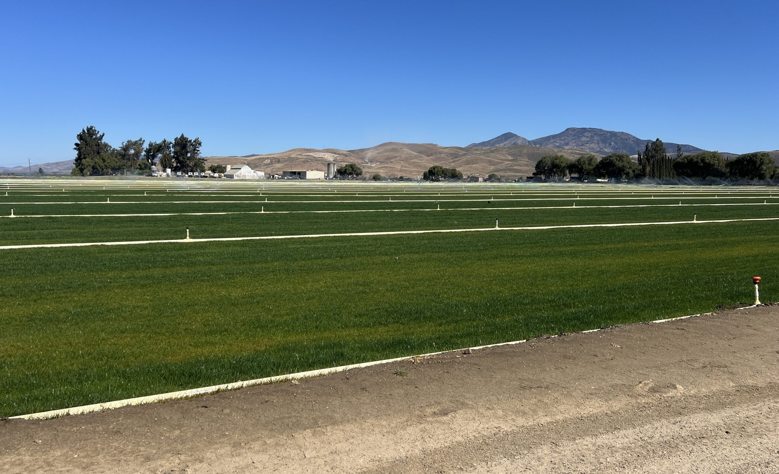New fields at the Salinas Regional Soccer Complex.